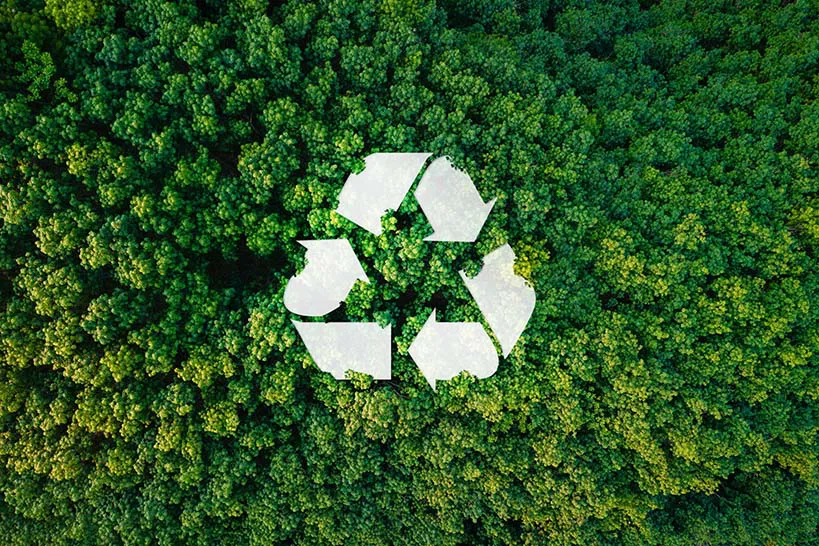 Verantwortung gegenüber Umwelt und Gesundheit